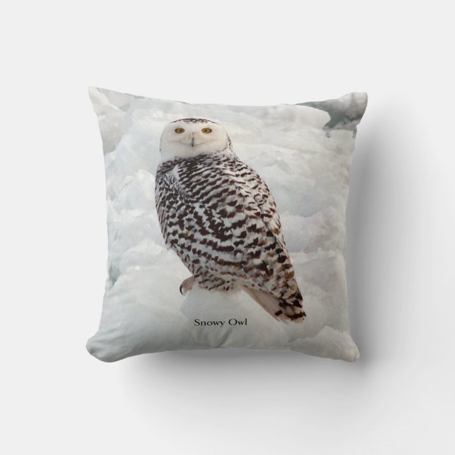 Coussin carré de Snowy Owl (Recto)