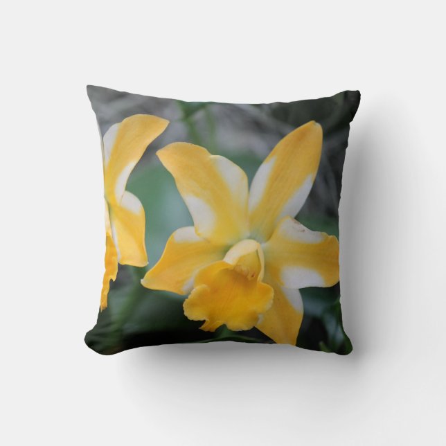 Coussin carré jeté Orchidée jaune et blanche (Recto)