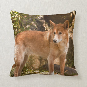 Coussin Carreau australien de dingo