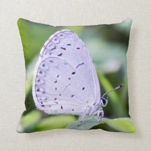 Coussin Carreau azuré de papillon de ressort