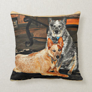 Coussin Carreau bleu/rouge de Heeler