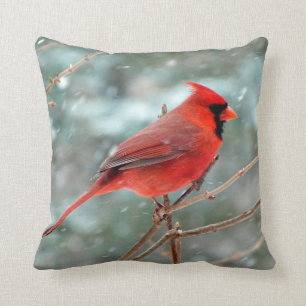 Coussin Carreau cardinal rouge d'accent de décor de maison