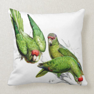 Coussin Carreau d'animaux de faune d'oiseaux de perroquet