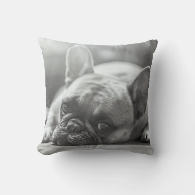 Coussin Carreau de bouledogue français (Recto)