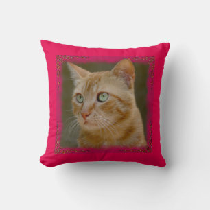 Coussin Carreau de chat de gingembre