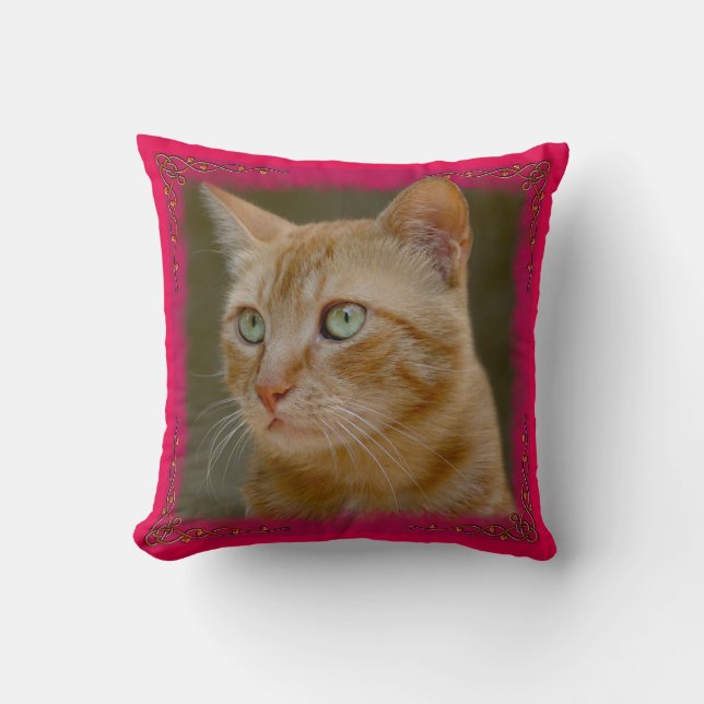 Coussin Carreau de chat de gingembre (Recto)