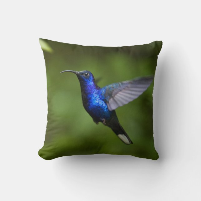 COUSSIN CARREAU DE COLIBRI (Recto)