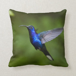COUSSIN CARREAU DE COLIBRI