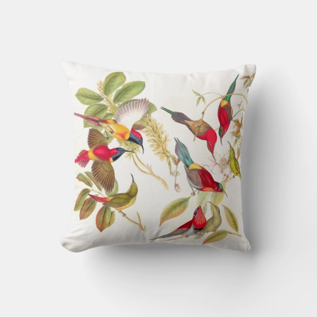 Coussin Carreau de faune d'animaux d'oiseaux de Gould (Recto)