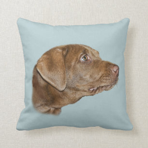 Coussin Carreau de labrador retriever, personnalisable