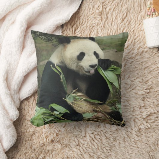 Coussin Carreau de panda géant et de panda de bébé (Couverture)