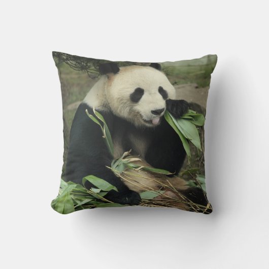 Coussin Carreau de panda géant et de panda de bébé (Recto)