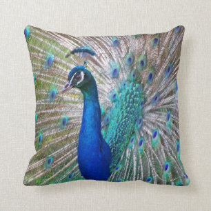 Coussin Carreau décoratif de beau paon