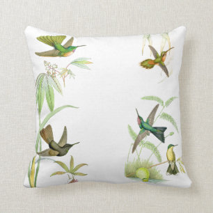 Coussin Carreau des colibris de Goulds