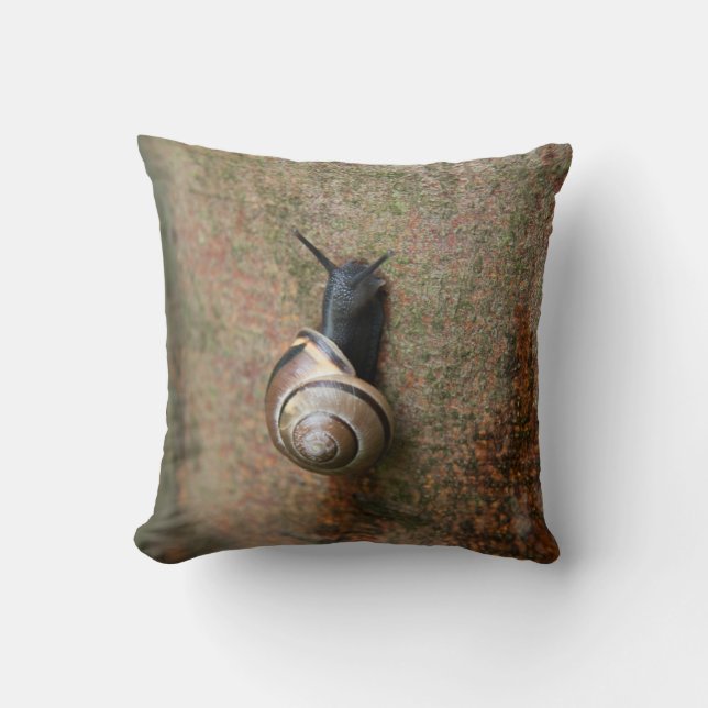 Coussin Carreau d'escargot (Recto)