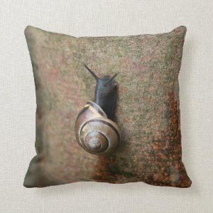 Coussin Carreau d'escargot