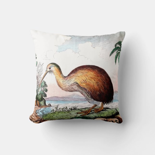 Coussin carreau d'oiseau de kiwi (Recto)