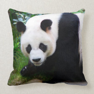 Coussin Carreau d'ours panda