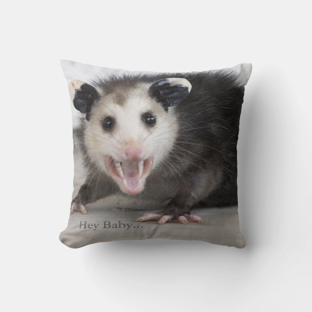 Coussin Carreau drôle d'opossum de protection de (Recto)
