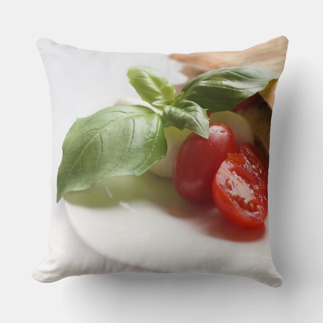 Coussin Carreau italien de nourriture (Recto)