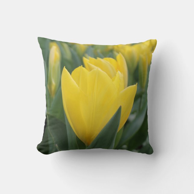 Coussin Carreau jaune de tulipe de ressort (Recto)