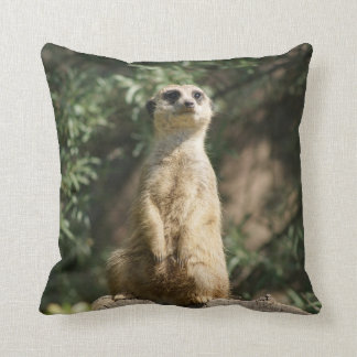 Coussin Carreau mignon de Meerkat