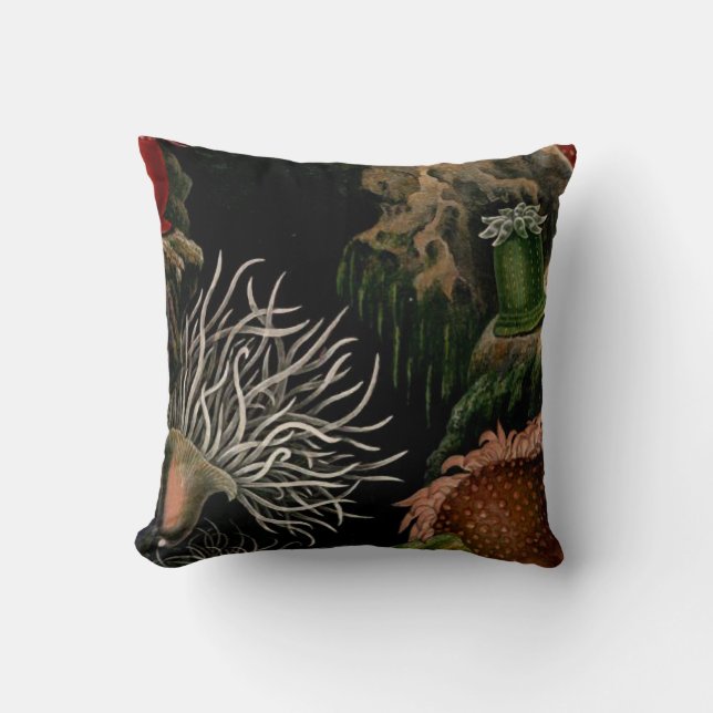 Coussin Carreau noir et coloré d'actinie (Recto)