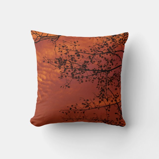 Coussin carreau orange avec la saveur asiatique (Recto)