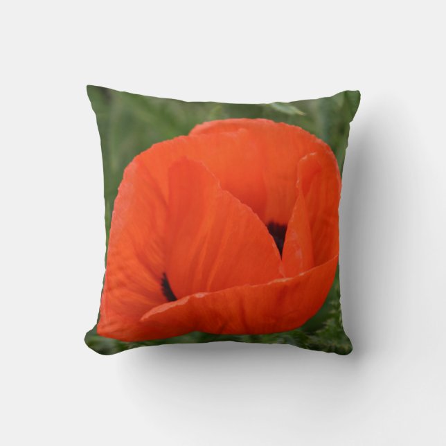 Coussin Carreau orange de pavot (Recto)