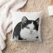 Coussin Carreau réfléchi blanc noir de chaton (Couverture)