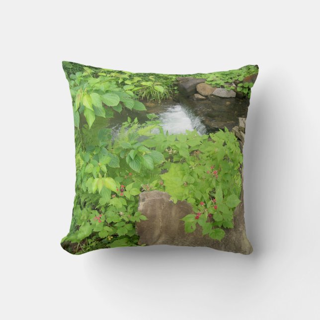 Coussin Carreau régénérateur de vue (Recto)