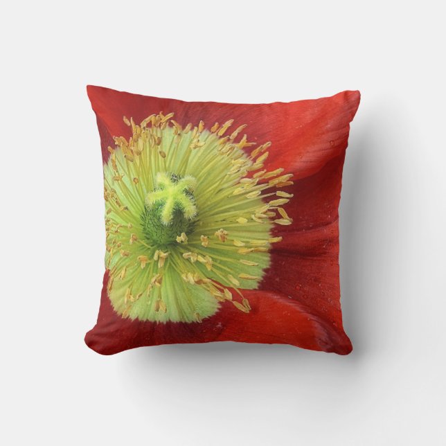 Coussin Carreau rouge de fleur de pavot (Recto)