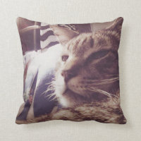 Carreau somnolent vintage de la photo | de chat