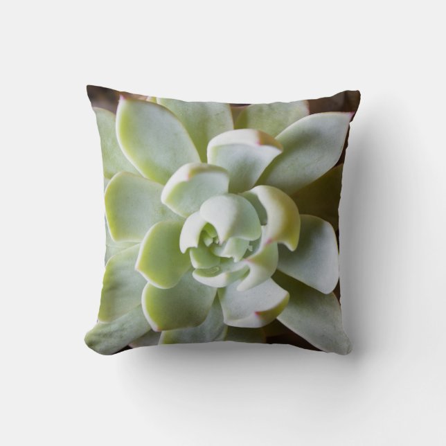 Coussin Carreau succulent (Recto)