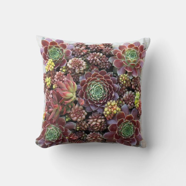 Coussin Carreau succulent (Recto)