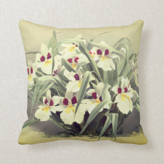 Coussin Carreau vintage d'orchidée d'odontoglossum