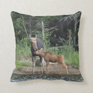 Coussin Carreaux de camps de région sauvage d'étang de T