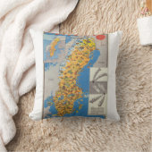 Coussin Carte de Suède (Couverture)