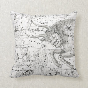 Coussin Carte du plat XIV de constellations