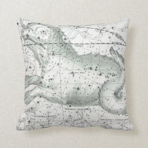 Coussin Carte du plat XXIII de constellations