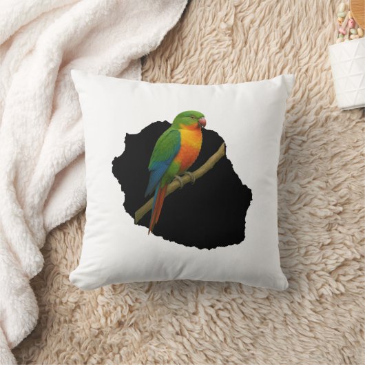 Coussin Carte oiseau (Couverture)