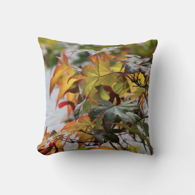 Coussin cas (Recto)