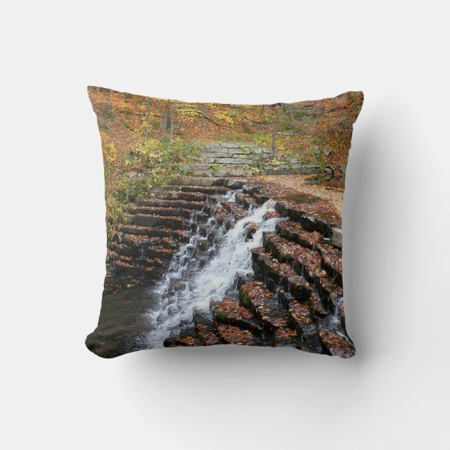 Coussin Cascade à Laurel Hill State Park II (Recto)