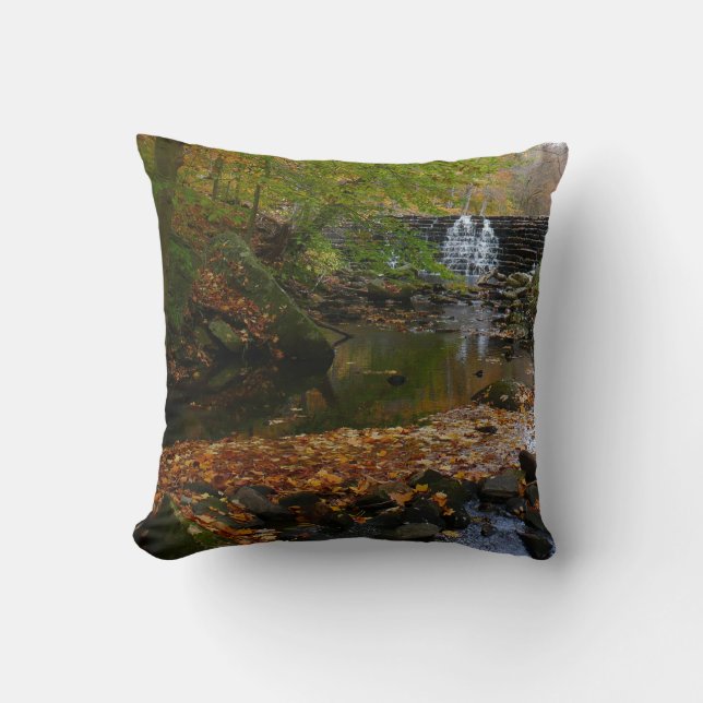 Coussin Cascade automnale et Creek Pennsylvania Nature (Recto)