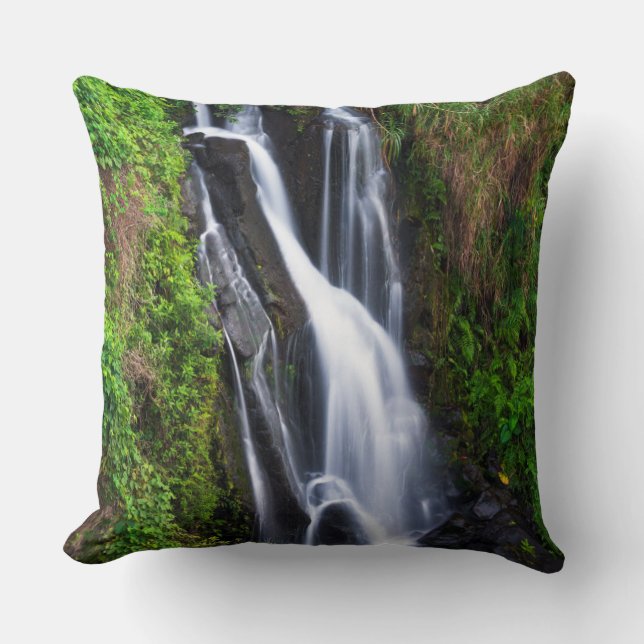Coussin Cascade, côte de Hamakua, Hawaï (Recto)