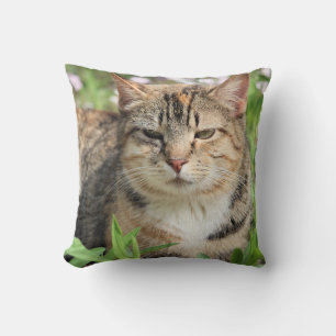 Coussin Cat