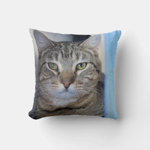 Coussin Cat