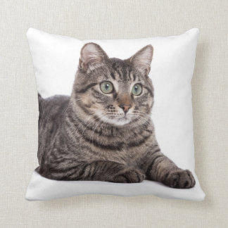Coussin Cat