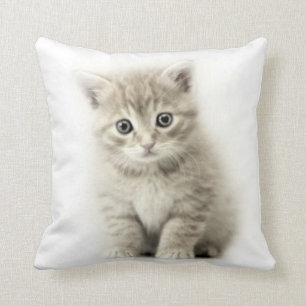 COUSSIN CAT