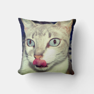 Coussin Cat
